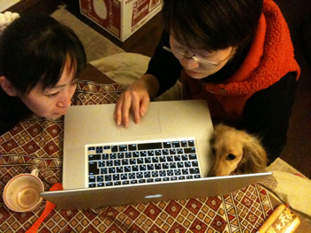 image-20110102121458.png
