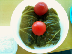 image-20110102142933.png