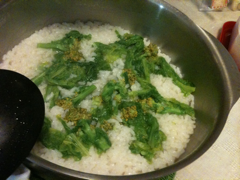image-20110102143440.png
