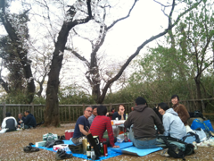 image-20110410150321.png