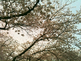 image-20130324002359.png